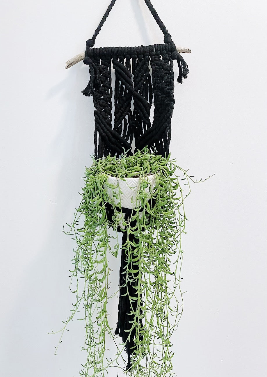 black macrame hanging planter Black Macramé Plant Hanger – Free & Fleeting