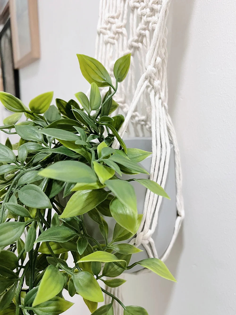Macramé Plant Hanger