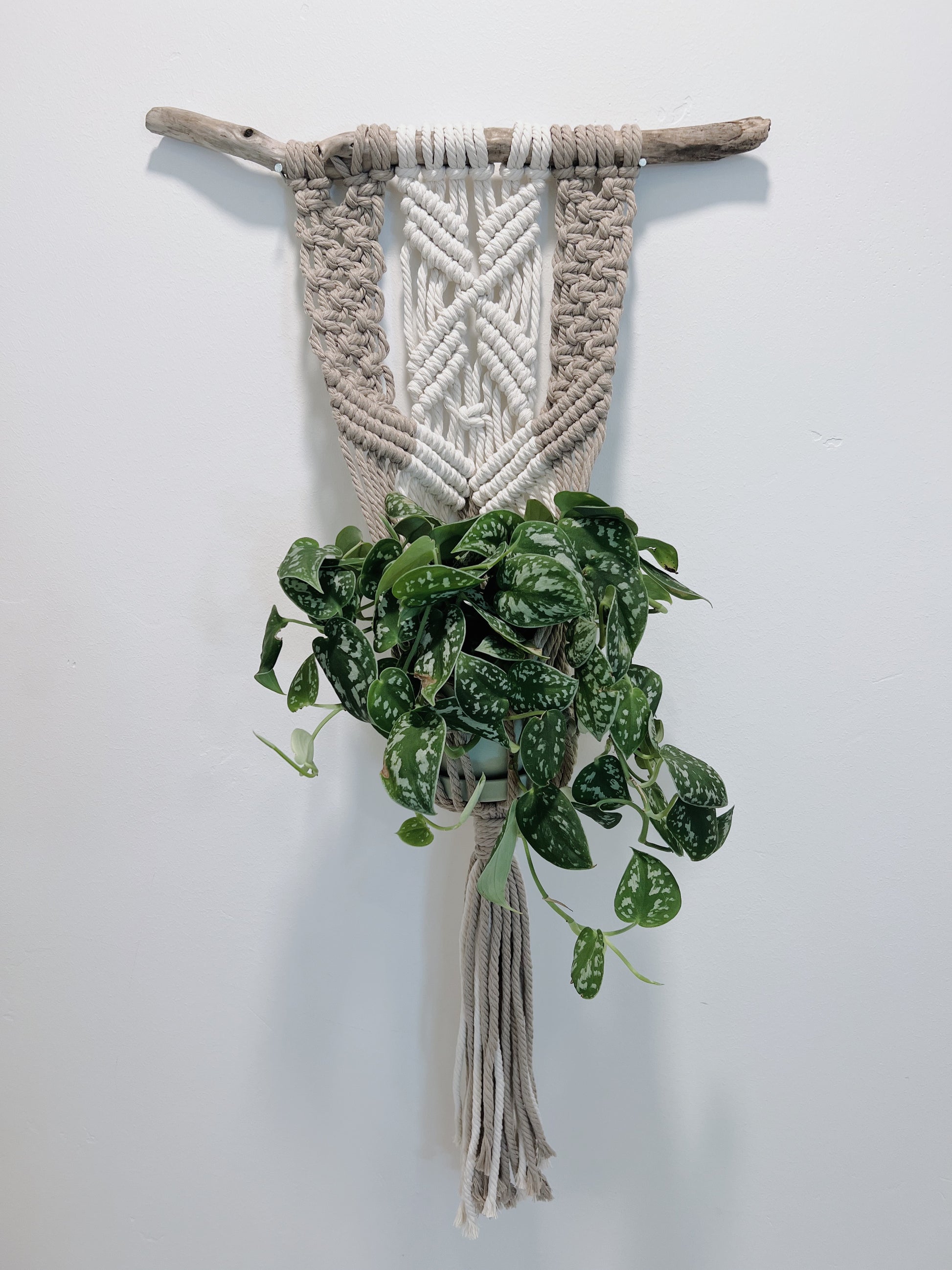 plant hanger materials 12/14 Macramé Plant Hanger Workshop – Free & Fleeting