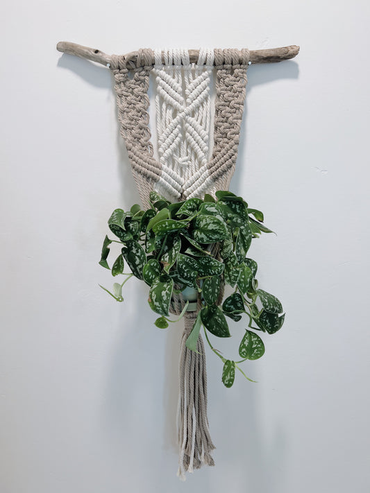 12/14 Macramé Plant Hanger Workshop