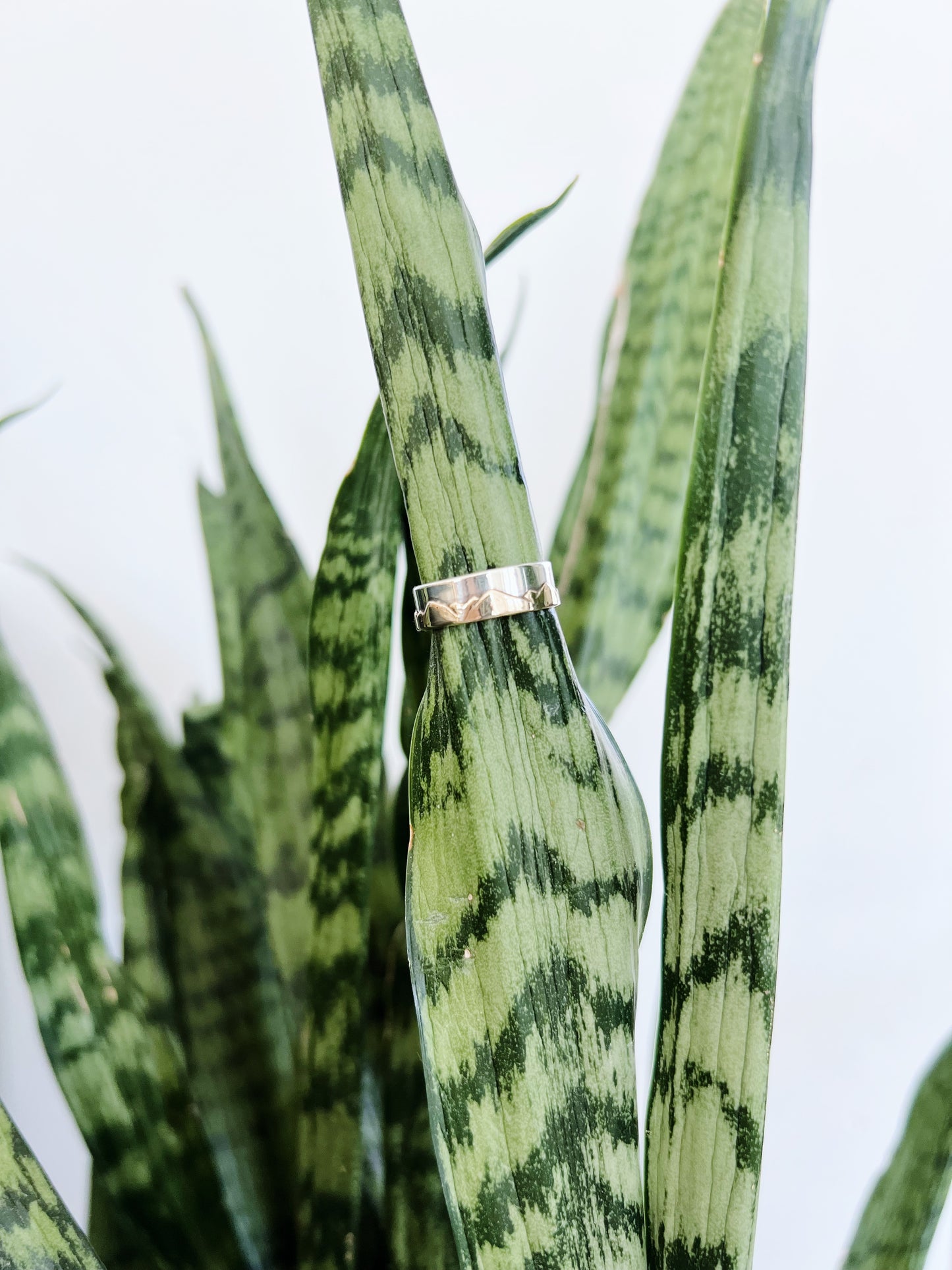 Two Toned Mountain Band Ring