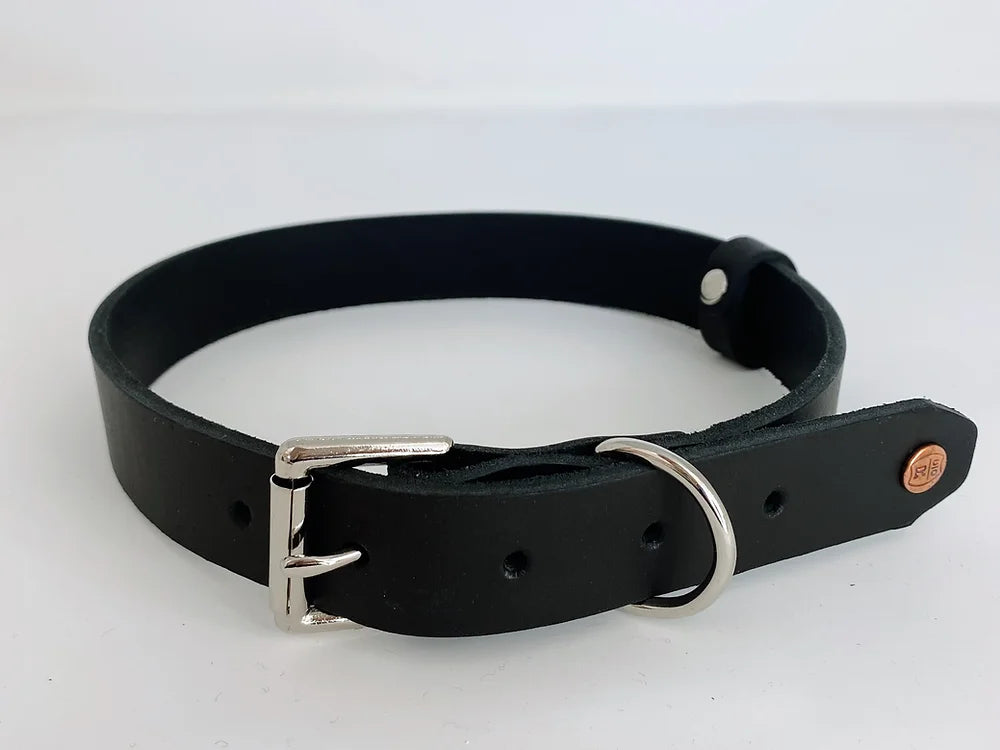 Leather Dog Collar