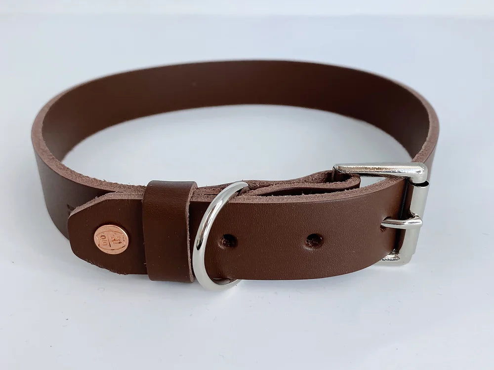 Leather Dog Collar