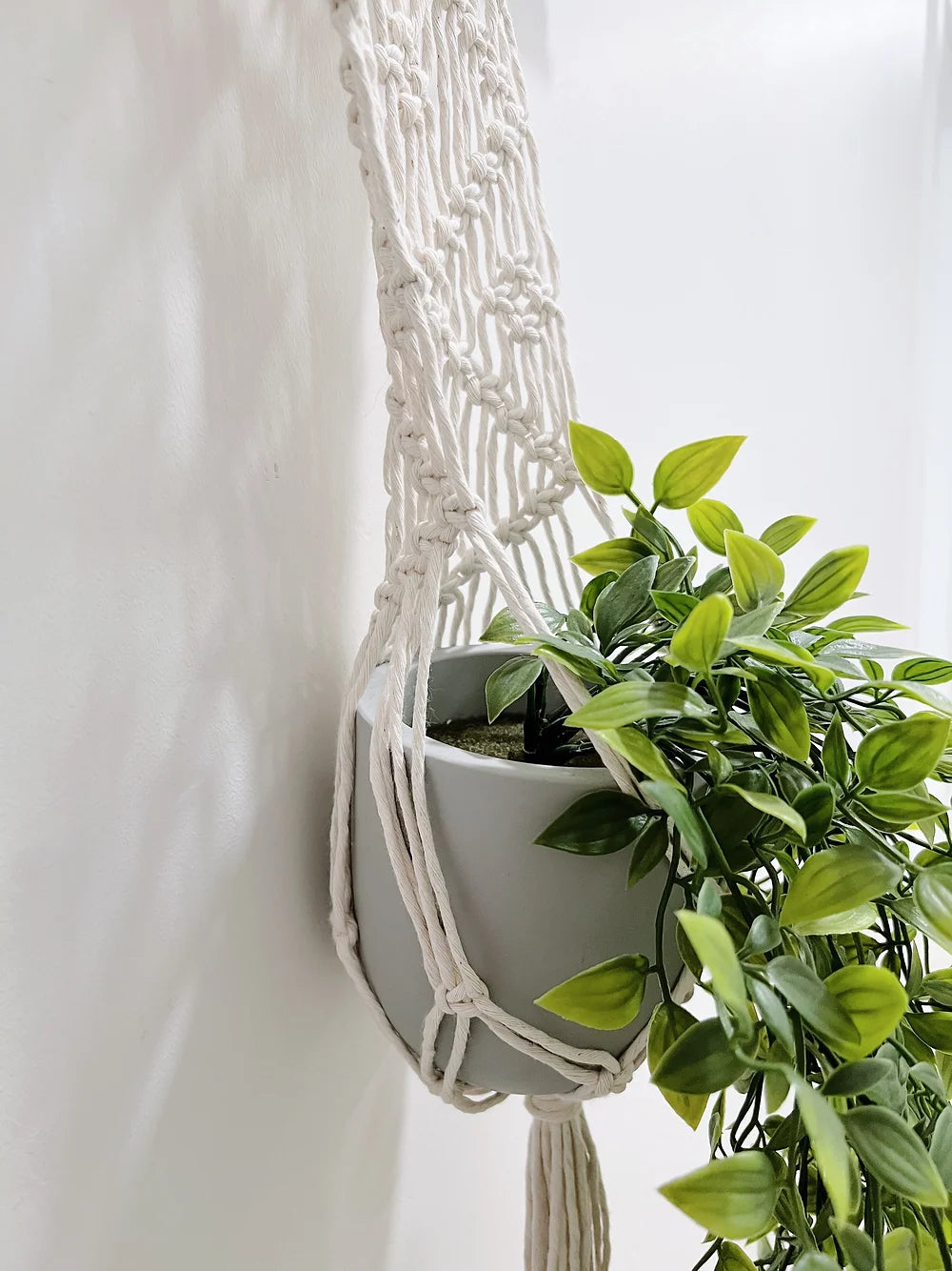 Macramé Plant Hanger