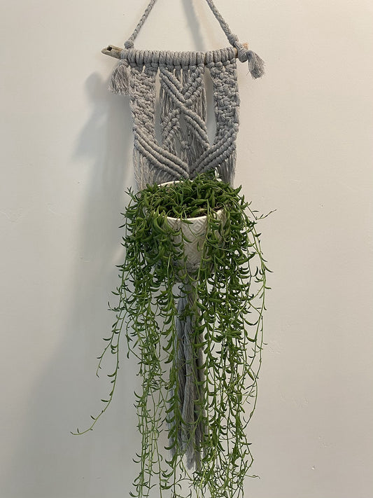 Gray Macrame Plant Hanger